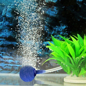 Aquarium Fish Tank